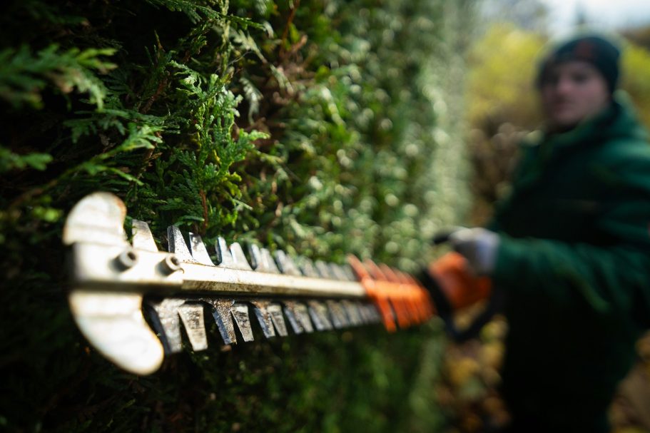 Gartenpflege Nürtingen – gepflegte Hecke und Außenanlage