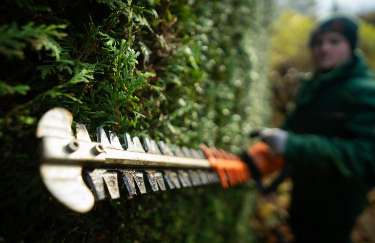 Gartenpflege Nürtingen – gepflegte Hecke