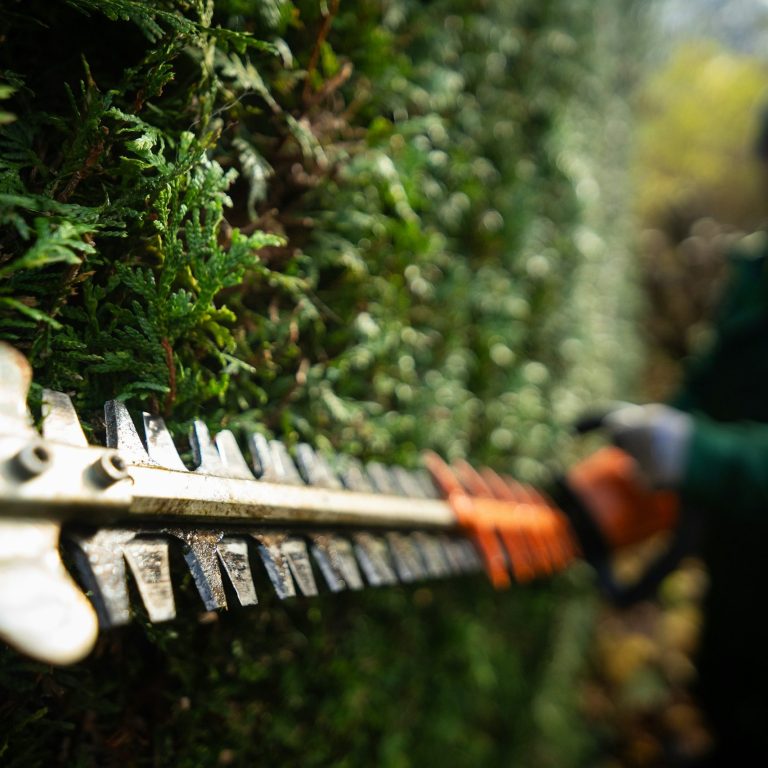 Heckenschnitt – Garten- und Grünpflege in Nürtingen